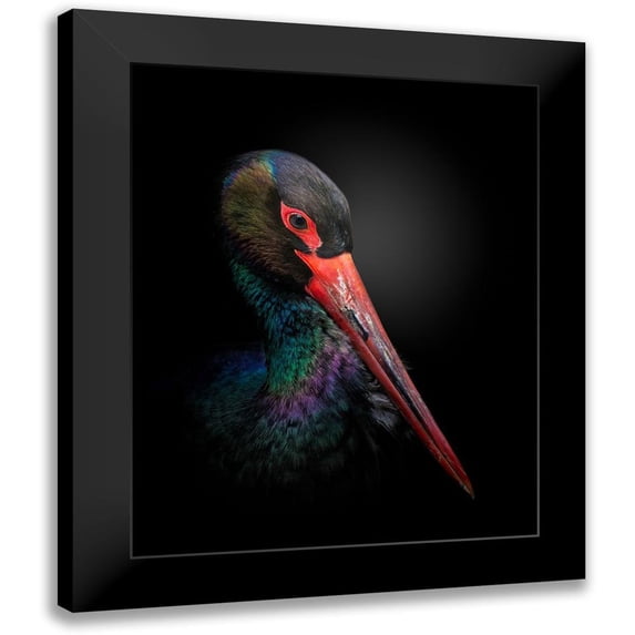Fegari 15x18 Black Modern Framed Museum Art Print Titled - The Black Stork