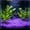 136#Purple, variant on Glow in The Dark Aquarium Pebbles 9x13mm Luminous Decorative Stones 100pcs Fish Tank Substrate Garden Rocks, Fluorescent Night Glow Aquarium Decor for Aquascaping Vase Plant Yard Path Decoration