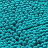 Teal Blue