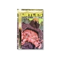 thumbnail image 1 of Paquete Teenage Mutant Ninja Turtles 5 A 8 Nickelodeon 7500588010345, 1 of 2