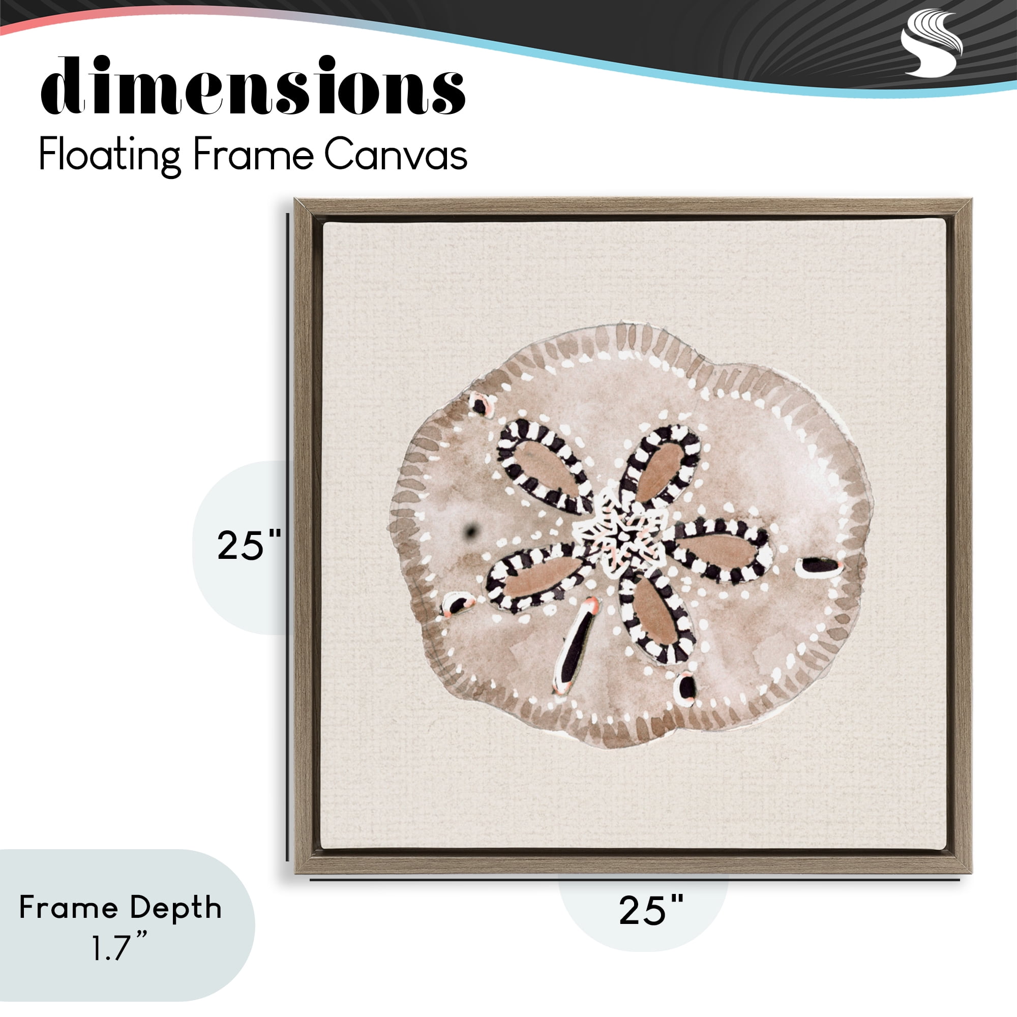 Stupell Industries Taupe & Beige Sand Dollar Brown Framed Floater Canvas Wall Art, design by Lanie Loreth