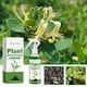 thumbnail image 3 of Solución nutritiva líquida para parches de césped | Fertilizante vegetal de acción rápida | Líquido multiusos para plantas de interior y exterior | Promueve el crecimiento y la inmunidad | Botella, 3 of 7