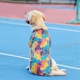 thumbnail image 5 of Dog Hawaiian Shirt Costume, Dog's Cool T-Shirts Summer Clothes, Hawaiian Shirt for Small Medium Large Dogs, Design for Summer Luau Style Beach Camp Vacation Orange 3XL, 5 of 7