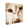 thumbnail image 4 of Stupell Industries Abstract Sepia Cattle Animals & Insects Photography Gallery Wrapped Canvas Art Print Wall Art, 24 x 24, 4 of 8