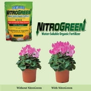 SoilMoist NitroGreen Water Soluble Organic Fertilizer, All Plants and Vegetables