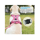 thumbnail image 4 of Pechera Arnés Airtag Con Correa Para Perros Extra Grandes Xtellar rosa, 4 of 4