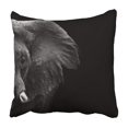 thumbnail image 1 of BOSDECO Housse de Coussin Éléphant Noir et Blanc 20x20 Pouces, 1 of 2