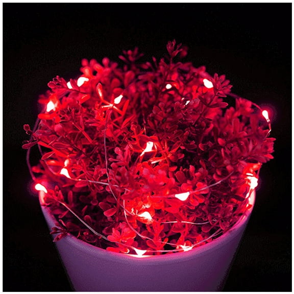 Globe String Lights, 16.5ft/5m 50 LED 6W Waterproof Fairy Lamp Battery Powered DC 5V Decorative Lights for Bedroom, Patio, Garden, Gate, Yard, Parties, Wedding, Indoor, Outdoor (Red)