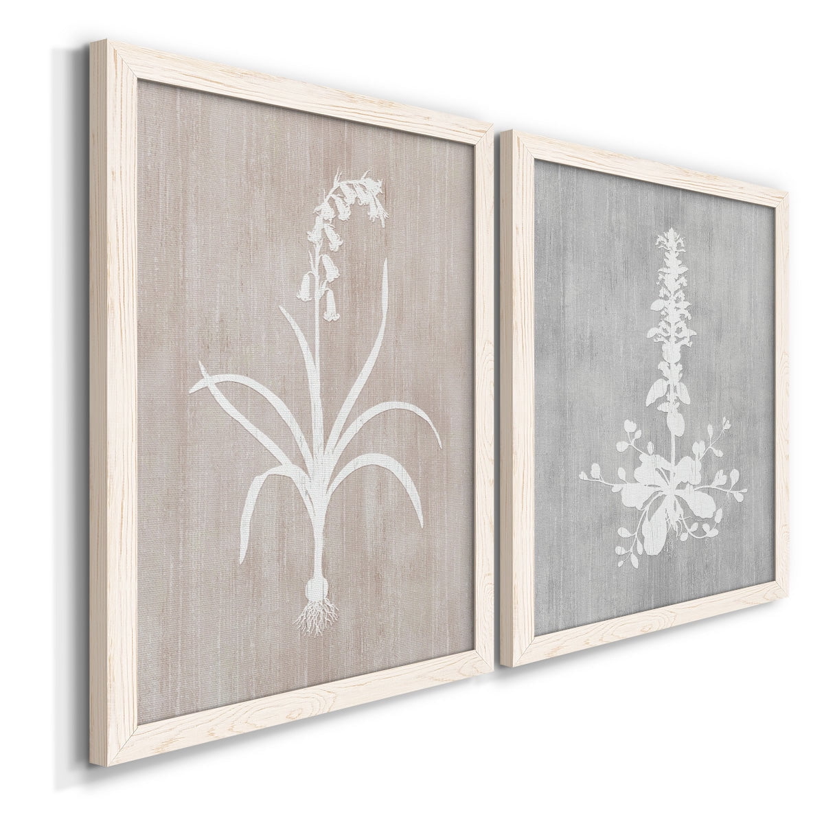 Botany Beauty I - Premium Framed Canvas 2 Piece Set - Ready to Hang