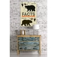 thumbnail image 2 of California, Facts About Bears, Grizzly and Black Bear (24x36 Giclee Gallery Art Print, Vivid Textured Wall Decor), 2 of 3