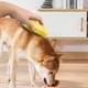 thumbnail image 1 of Peine Pet Electric Cat Grooming Brush 3 en 1 Cat Shedding Supplies Amarillo, 1 of 6