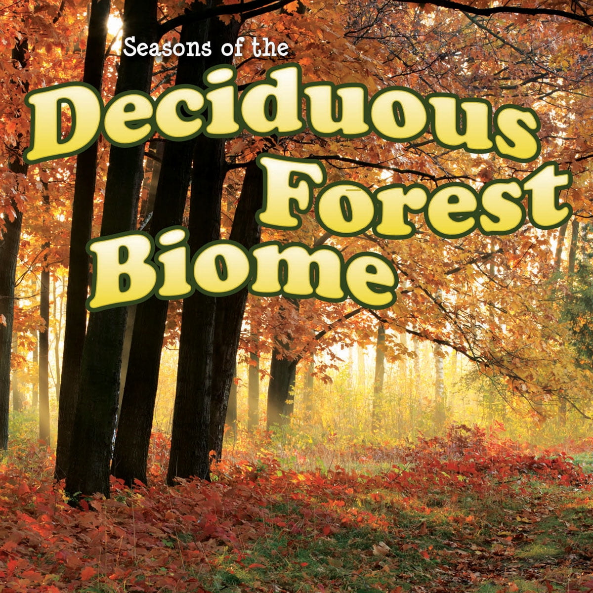 Biomes Seasons Of The Deciduous Forest Biome (Paperback)