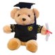 thumbnail image 1 of ours En Peluche Avec Lunettes-25 Cm, ​​Diplme Et Chapeau De Docteur - Peluche Pour La Remise Des Diplmes, Le Lyce Ou L'universit, 1 of 5