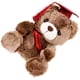 thumbnail image 2 of KAKOWELY Oso de peluche de graduación, recuerdo de peluche, oso de graduación, oso de peluche, 2 of 4