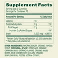 thumbnail image 3 of Spring Valley Organic Biotin Vegetarian Gummies, Blueberry Flavor, 5000 mcg, 150 Count, 3 of 12