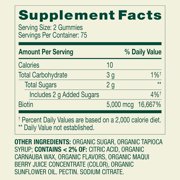 Spring Valley Organic Biotin Vegetarian Gummies, Blueberry Flavor, 5000 mcg, 150 Count