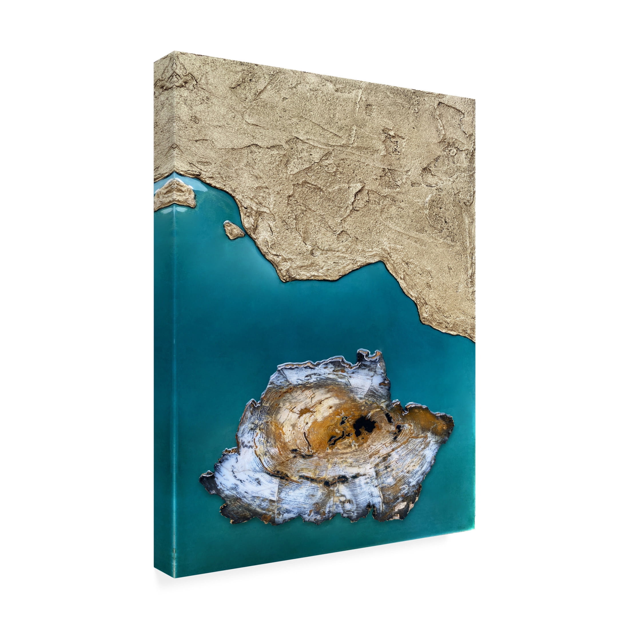 Trademark Fine Art Alyson Storms Elemental Earth Canvas Wall Art