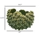 thumbnail image 5 of Benzara Nina - Cuenco decorativo de cerámica verde (28 cm), 5 of 5