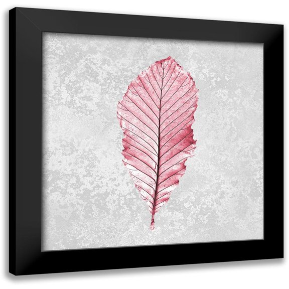 Kimberly, Allen 12x12 Black Modern Framed Museum Art Print Titled - Pink Leaf 2