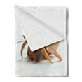 thumbnail image 2 of Crabs Soft Flannel Fleece Blanket, Sea Animals Theme Hermit Crabs Pattern from Caribbean Seascape Digital Print, Cozy Plush for Indoor and Outdoor Use, 60" x 80", Marigold and White, by Ambesonne, 2 of 5