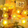thumbnail image 1 of Luces de cadena de flores de plumeria artificial LED - Luz de flor de frangipani de espuma hawaiana, luz de cadena de hadas alimentada por USB para dormitorio, playa de bodas de cumpleaños Kuyhfg Sin marca, 1 of 5