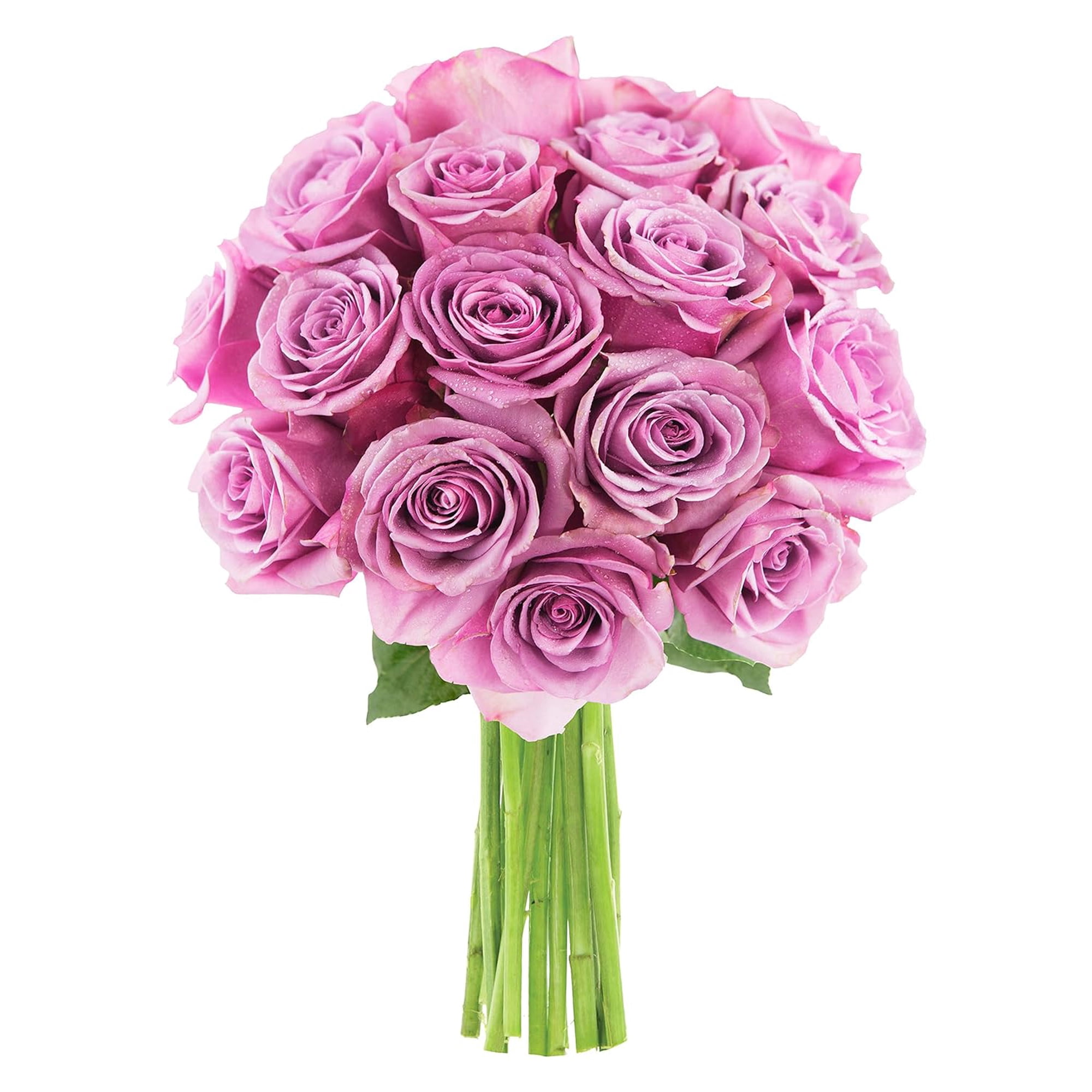 KaBloom: 18 Purple Roses in vase, Next-Day Delivery, Gift for Every Occasion.