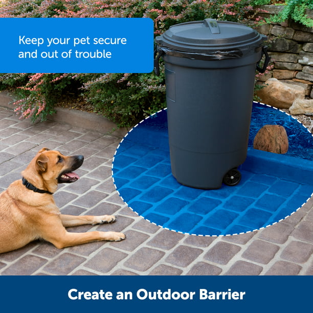 how to keep dogs and cats out of your yard