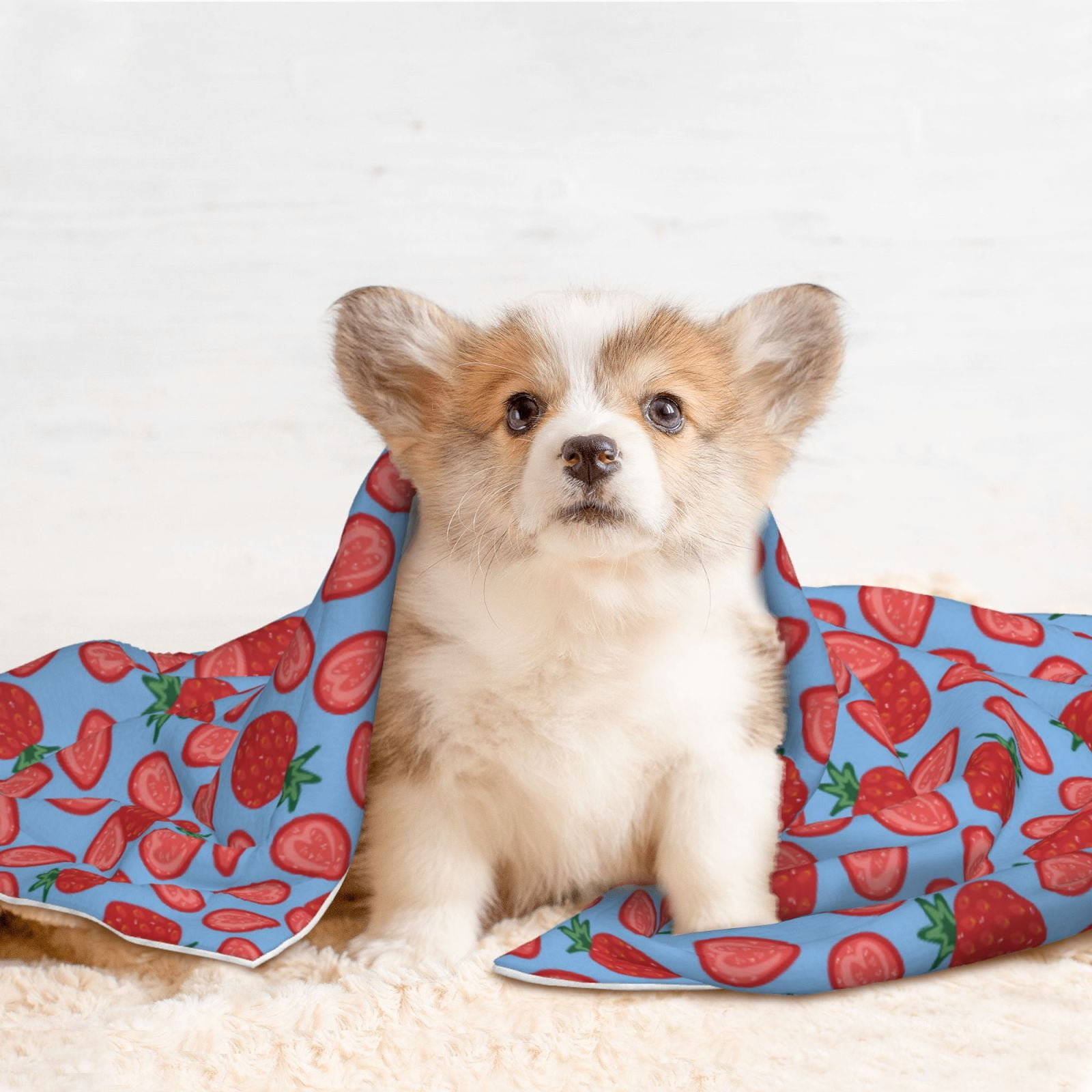 Naloa Strawberries Dog Blanket, 3 Sizes Cat Blanket for Indoor Cats Large Medium Small Dog Gifts-Small