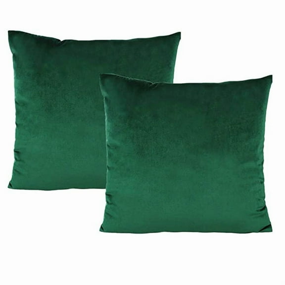 Cterwk 2 Pack Soft Velvet Throw Pillow Covers with Invisible Zipper, Decorative Solid Square Pillow Cases for Living Room, Bedroom, Office, 16" x 16"