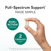 Probiotic & Prebiotic Capsules | Pre and Probiotics for Synbiotic Gut Health & Bloating Relief for Women & Men | 20 Billion CFU | Vegetarian | 60 Ct.