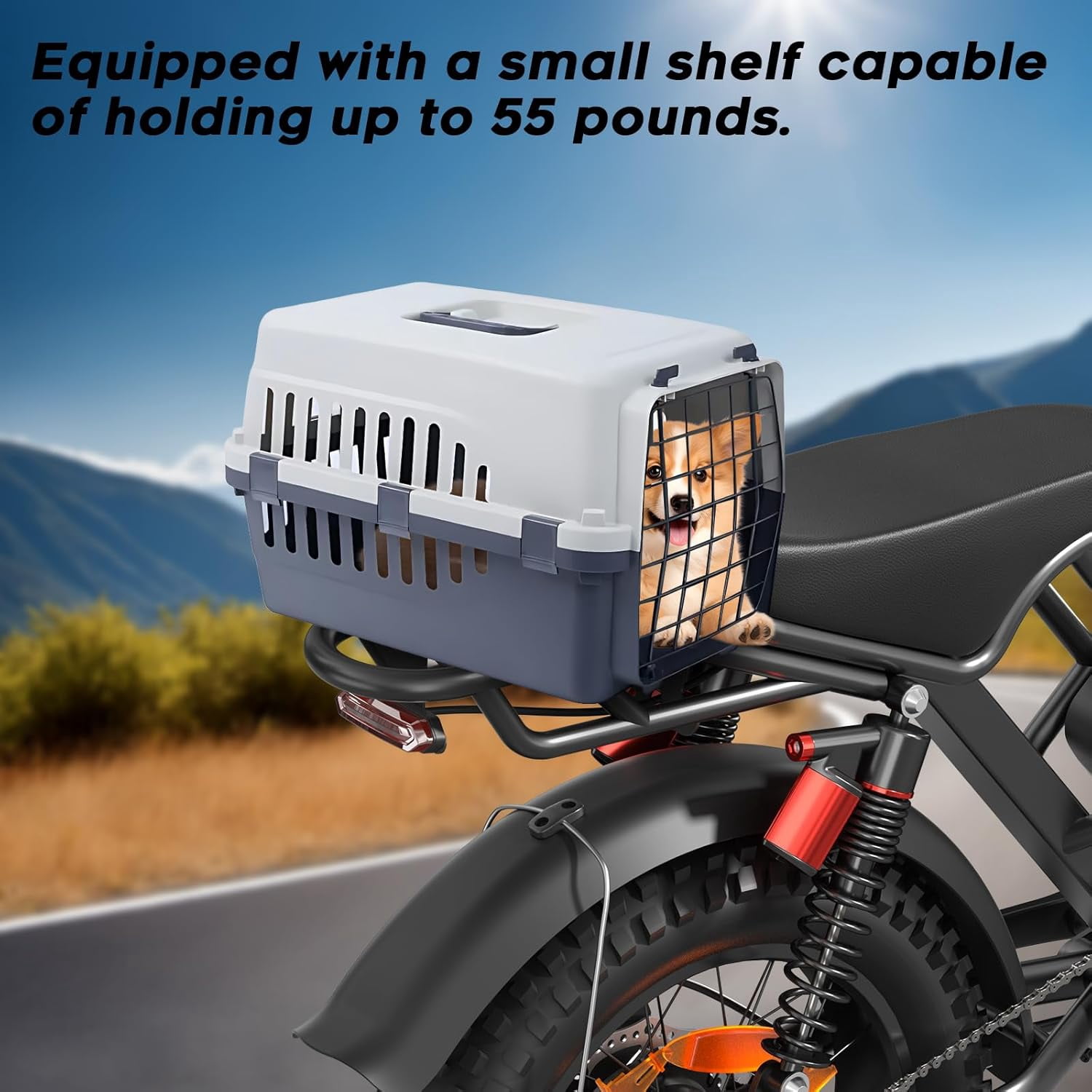 Eilleo Spacewalk M7 Off Road Electric Bike for Teens/Adults,20" fat tire Ebike,1500W Peak Motor,24.9mph,48V 15Ah Removable Battery, Dual Suspension UL2849