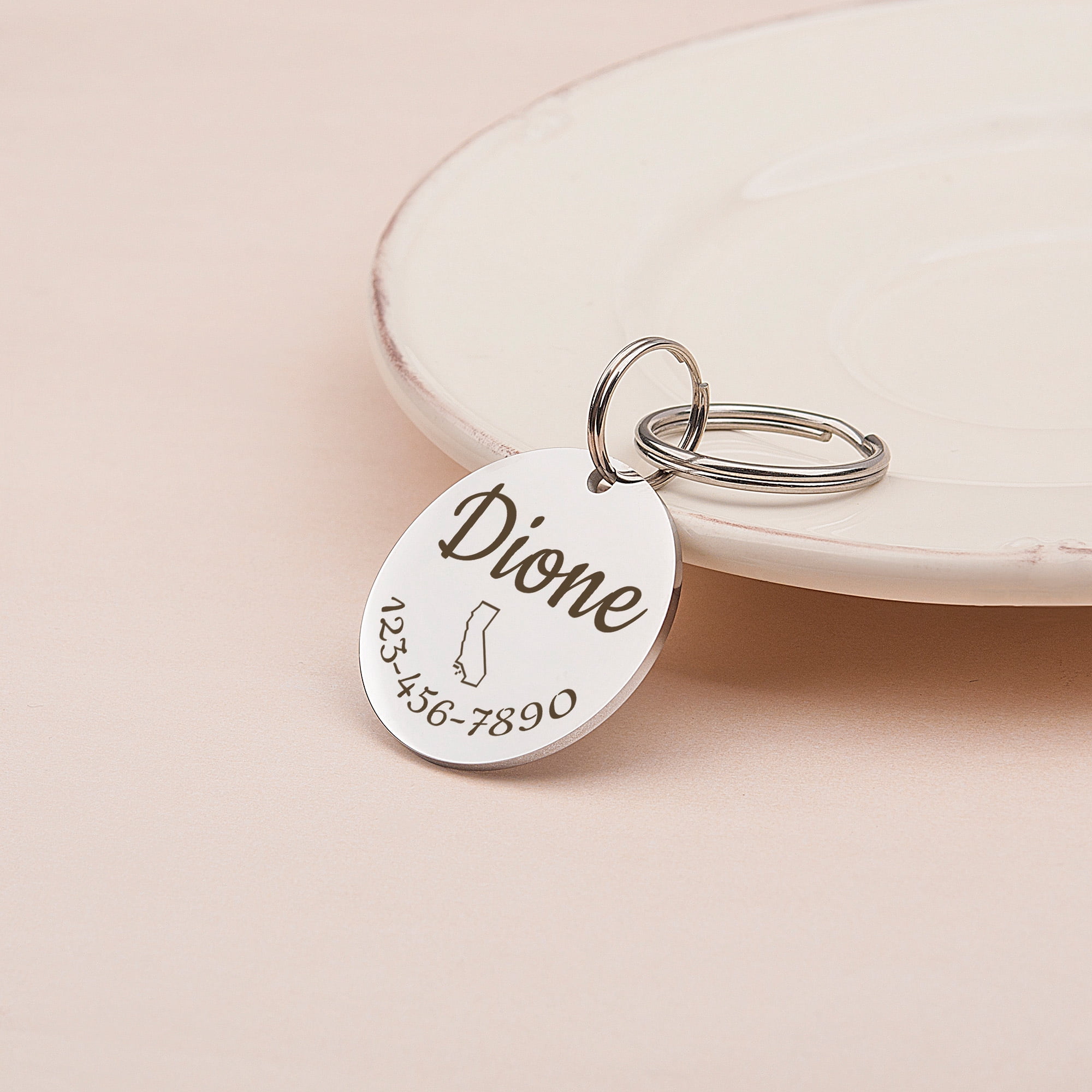 Anavia Stainless Steel Metal Round Name - State - Phone Number Birthday Holiday Christmas Engraved Dog Cat ID Tag, Silver