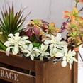 thumbnail image 2 of Balsa Circle 3 Pieces 18" Assorted Artificial Faux Succulent Picks Sprays Centerpieces, 2 of 6