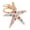 A, variant on Beach Keychain Summer Bag Charm Starfish Keychain Cute Sea Star Accessories Nautical Summer Outfits Gift Rhinestone Plating Women Car/Bag Keychain Purse Charm