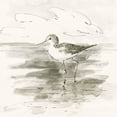 thumbnail image 2 of Swatland, Sally 12x12 White Modern Wood Framed Museum Art Print Titled - Sand Piper II, 2 of 4