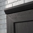 thumbnail image 2 of Sauder HomePlus Storage Cabinet, Raven Oak, 435137, 2 of 7