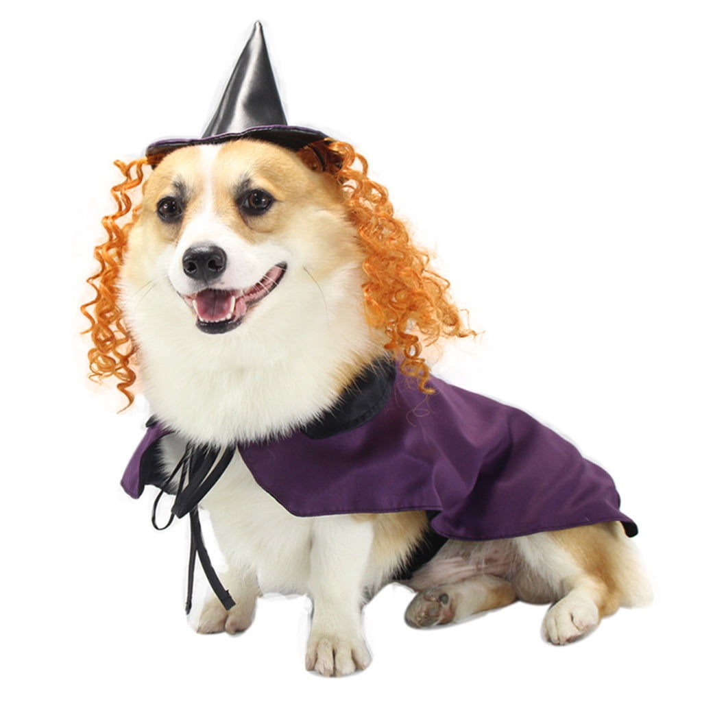 Halloween Witch Purple Cloak Transfiguration Crossdresser Costume Soft Pet Dog Walmart Com