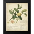 thumbnail image 2 of Descubes, A. 12x14 Black Modern Framed Museum Art Print Titled - Descube Botanical I, 2 of 5