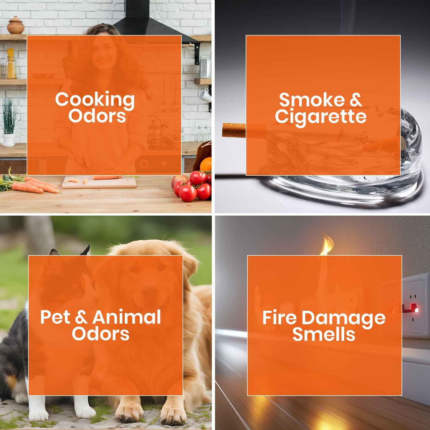 ZORBX 3 Oz Surface Odor Remover Paint Additive - Fragrance-Free for Smoke, Mildew, Pets (2 Jars)