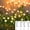 4Pack 24LED Warm White, variant on Solar Firefly Lights Swaying Outdoor Waterproof Decorative Lights for Yard Patio Pathway Lawn Decorations