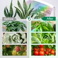 thumbnail image 7 of 8 inch Grow Lights for Indoor Plants,Large Plant Light with 3 Timers, 10 Level Dimmable Brightness, Full Spectrum Plant Lamp, Height Adjustable for Tall Plants, 7 of 7