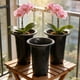 thumbnail image 4 of Maceta para Orquídeas con Sistema de Riego Automático, Plantador de Plástico Negro Duradero 19x12.3cm, Diseño Decorativo Brillante para Jardinería en el Hogar y Arreglos Florales., 4 of 6