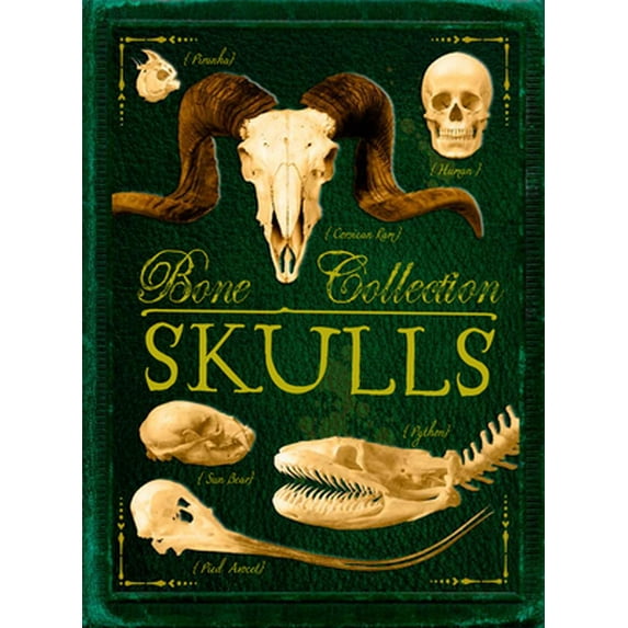 Pre-Owned Bone Collection: Skulls Paperback
