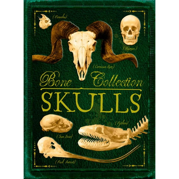 Pre-Owned Bone Collection: Skulls (Paperback) 0545724570 9780545724579