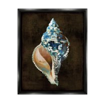 Stupell Industries Modern Conch Shell Nature Painting Black Floater Framed Art Print Wall Art, 17 x 21