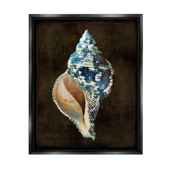 Stupell Industries Modern Conch Shell Nature Painting Black Floater Framed Art Print Wall Art, 17 x 21