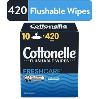 Equate Coconut Scented Flushable Wipe, 2 Flip-Top Packs (96 Total Wipes)