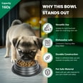 thumbnail image 6 of Iconic Pet 2-Pack Color Splash Stripe Non-Skid Pet Bowl, For Dog or Cat, Black, 16 Oz, 2 Cup, 6 of 11