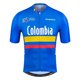 thumbnail image 4 of Maillot de ciclismo de manga corta para hombre de Colombia, transpirable, color azul, ropa deportiva para ciclismo de montaña, 4 of 5