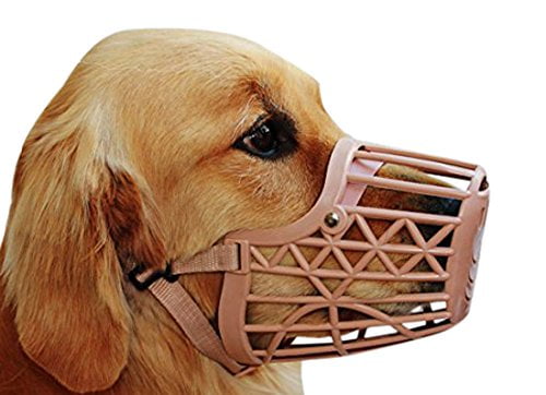 basket muzzle size chart